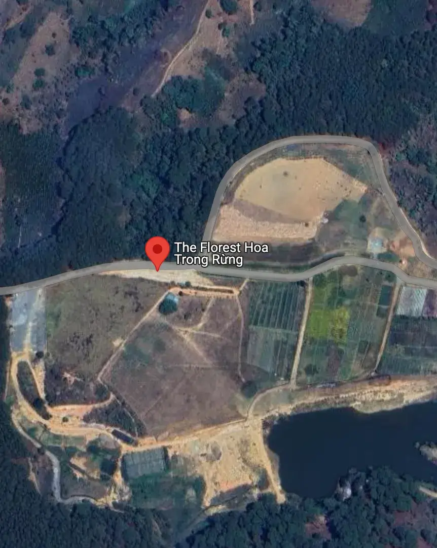 ✅ Review The Florest – Hoa Trong Rừng Da Lat 2025: Beautiful but Not Quite “Wow” Yet